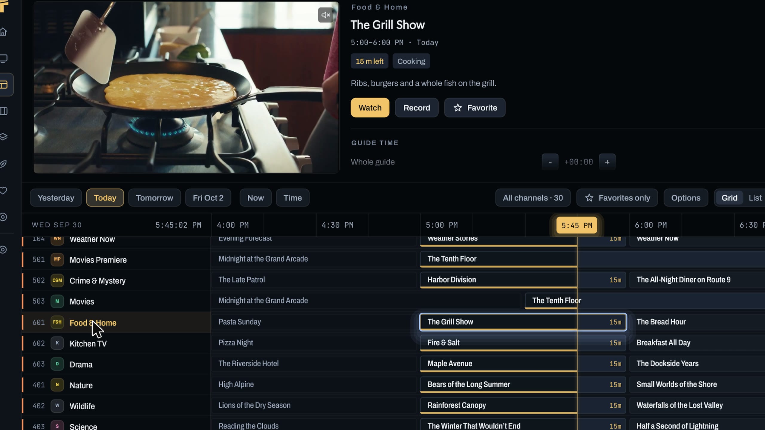 The guide in Theia: a demo channel playing in the preview above a grid of demo channels and programs, with a line at the current time.