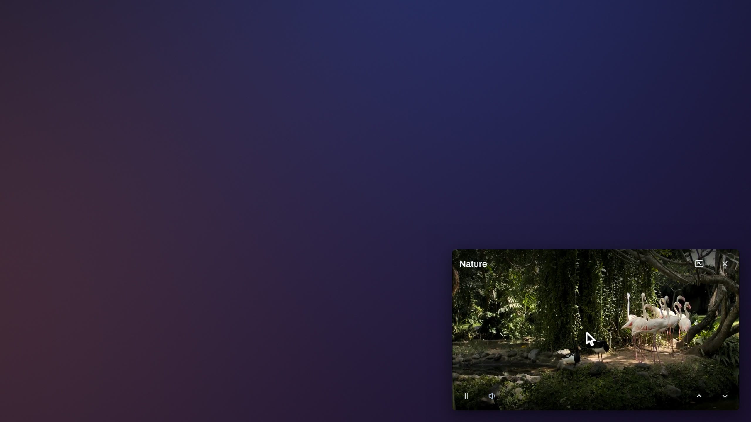 A demo channel playing full screen, then in Theia's mini player: a small window in the corner of the screen, still playing.