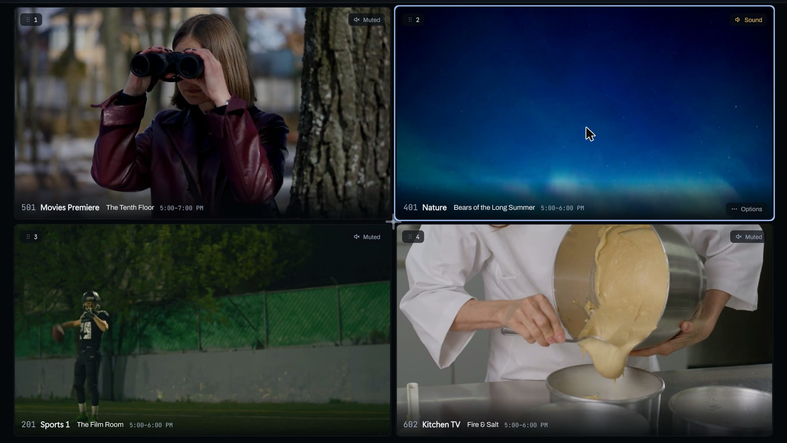 Multiview in the app: four demo channels in a 2 by 2 layout, each labeled with its channel and program, one tile with the sound on.